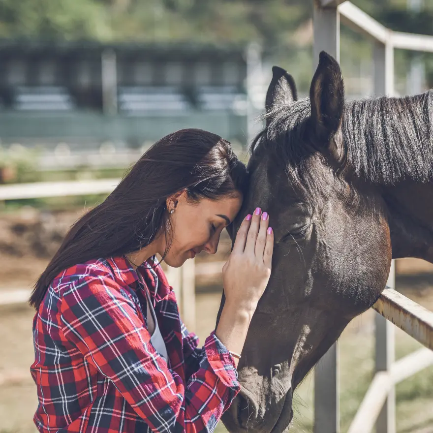 Une femme caressant un cheval avec tendresse.